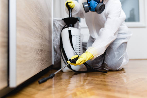 Best Wildlife Control Services  in Spring Arbor, MI