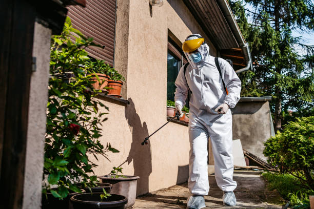 Best Bed Bug Extermination  in Spring Arbor, MI