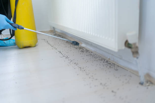  Spring Arbor, MI Pest Control Pros