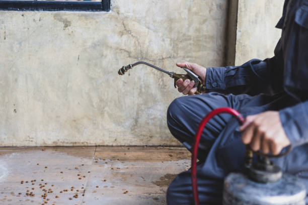 Best Pest Control Treatment  in Spring Arbor, MI